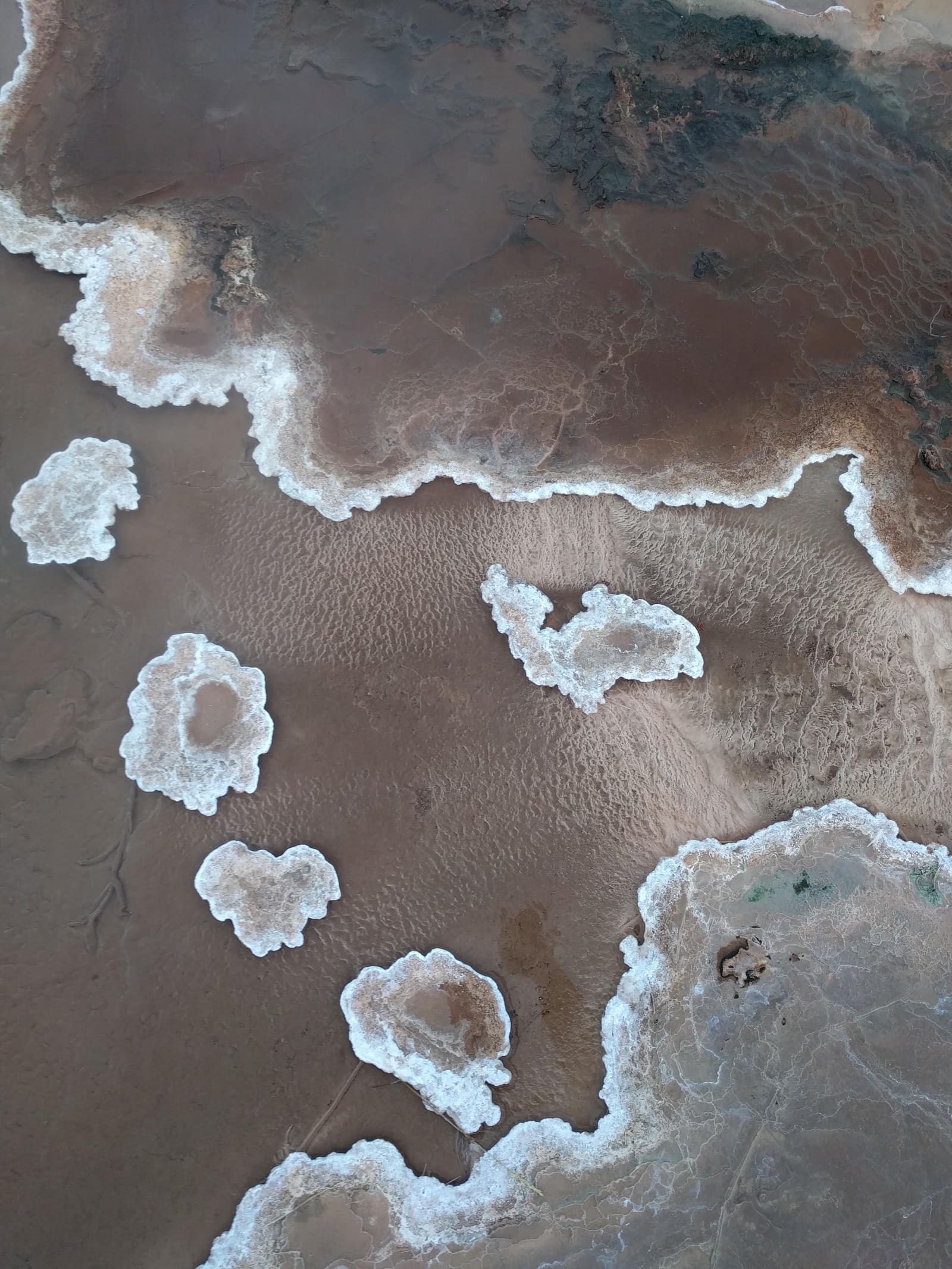 Pale geothermal mineral crusts and rough ground textures in the protected Haukadalur hot-spring area.