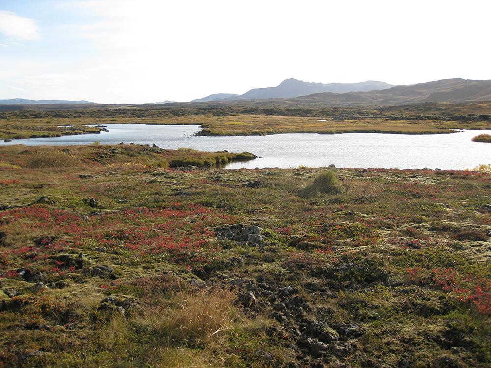 Low lava ground and water in Heiðmörk with hills beyond Reykjavík.