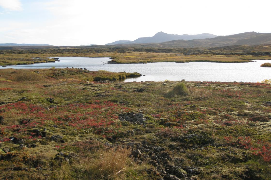 Open lava ground, low vegetation, and water inside Heiðmörk near Reykjavík.