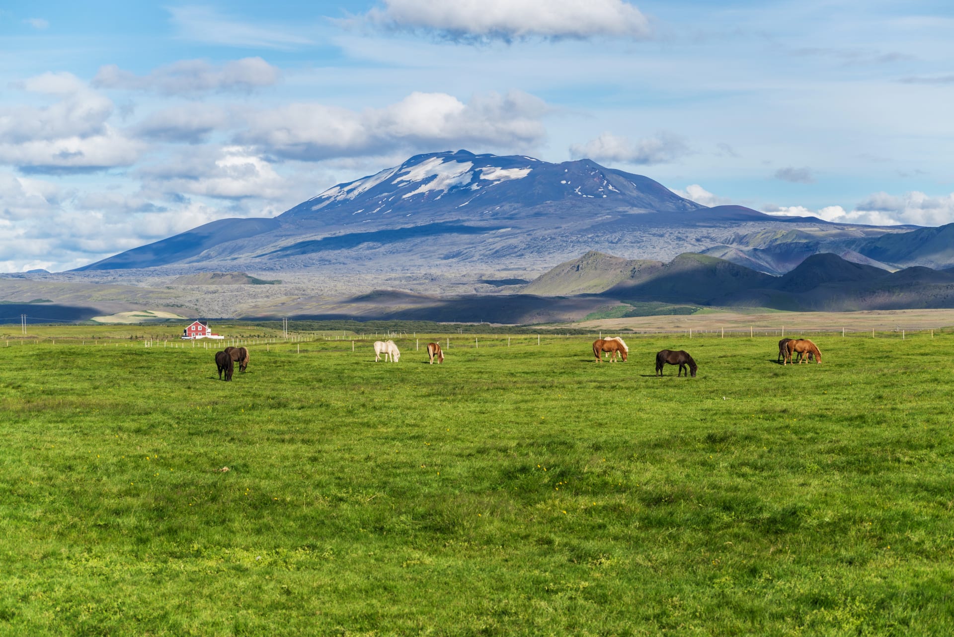 Hekla volcano above green pasture, horses, a red farmhouse, and dark lava fields in South Iceland.