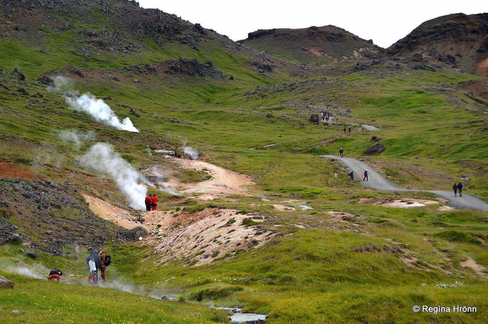 Walkers moving through Reykjadalur geothermal valley with steam vents in the Hengill volcanic system.