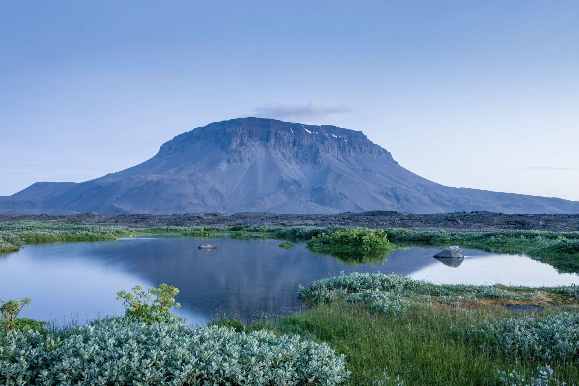 Herðubreið reflected in still water and green vegetation at Herðubreiðarlindir.