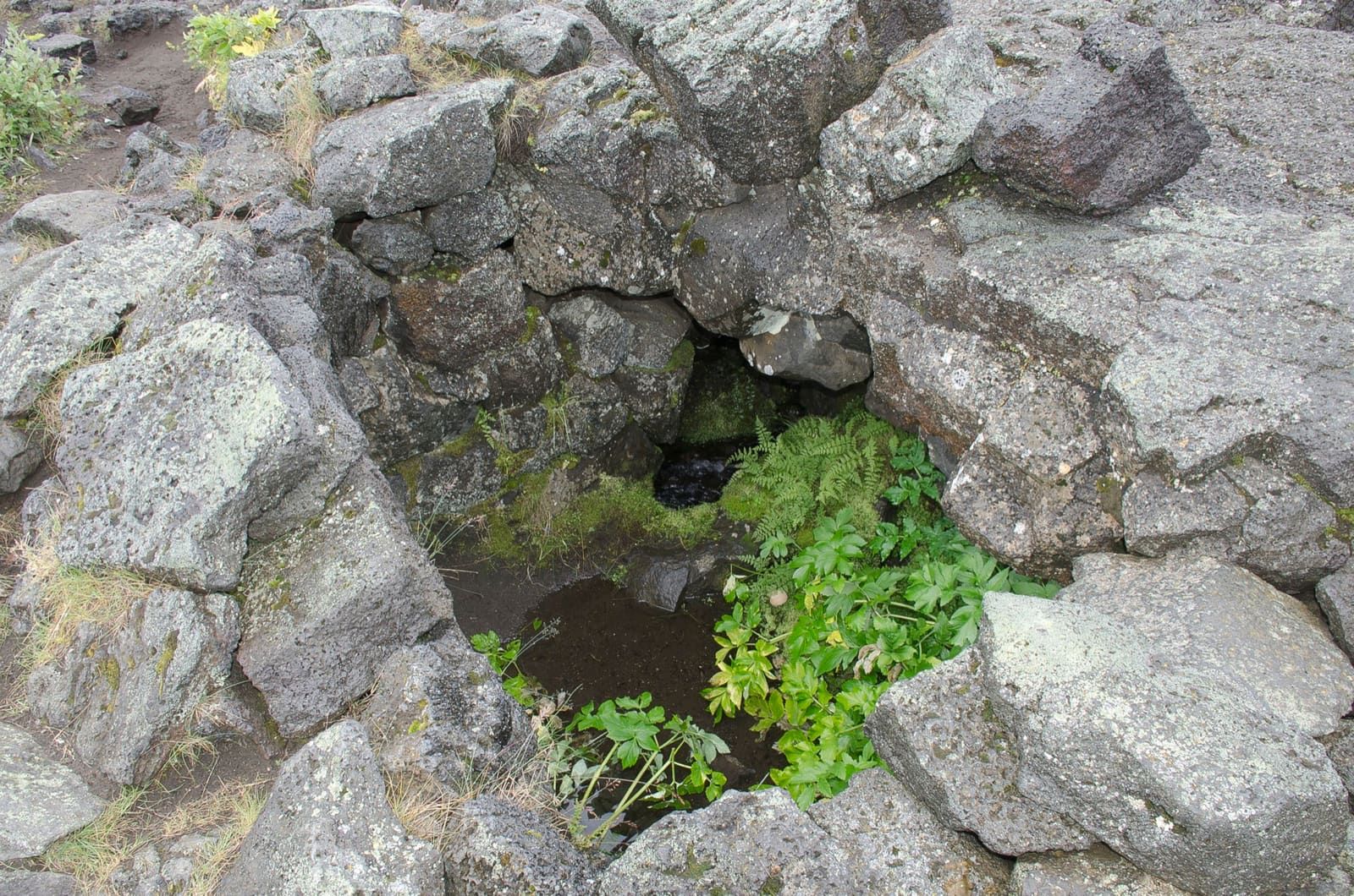 Stone remains of Fjalla-Eyvindur's shelter among lava and low vegetation at Herðubreiðarlindir.