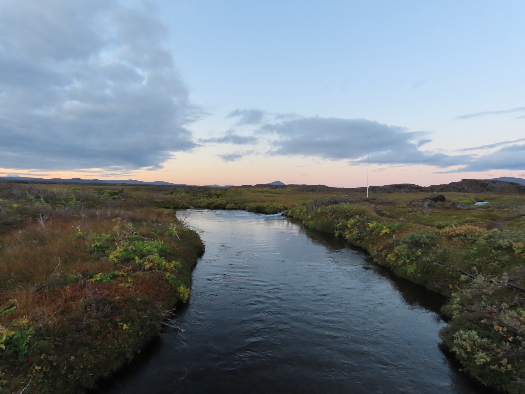 Lindaá flowing through low vegetation and lava at Herðubreiðarlindir in the North Iceland Highlands.