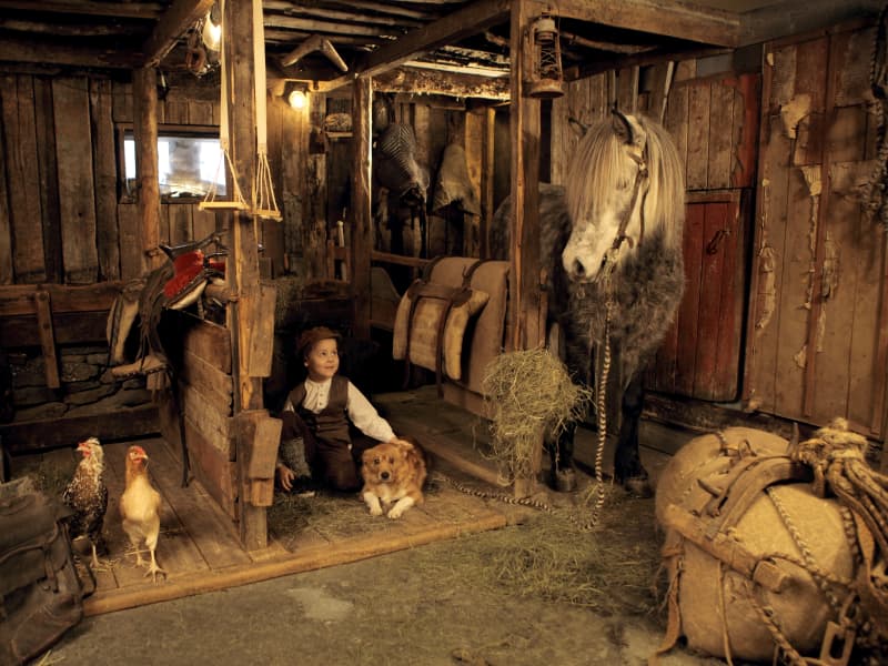 Icelandic Horse History Centre exhibit at Hólar with a horse display, tack, and timber stable interior.
