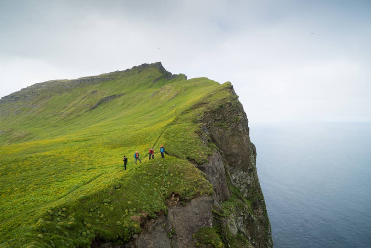 Hikers standing on a grassy Hornbjarg ridge above steep sea cliffs in Hornstrandir.