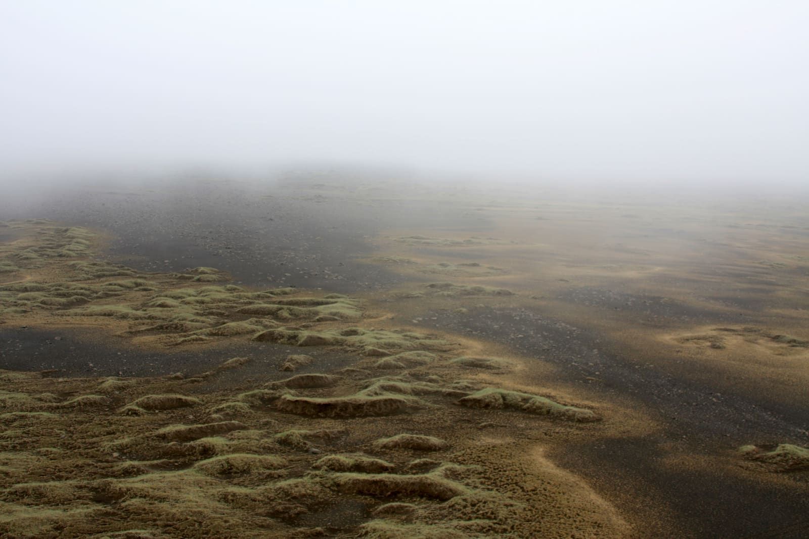 Mossy ground and black volcanic gravel inside Hrossaborg crater in mist.