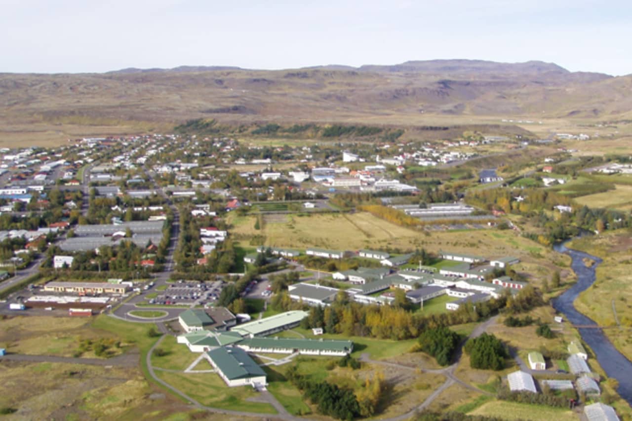 Aerial view of Hveragerði with houses, trees, and hills around the geothermal town.