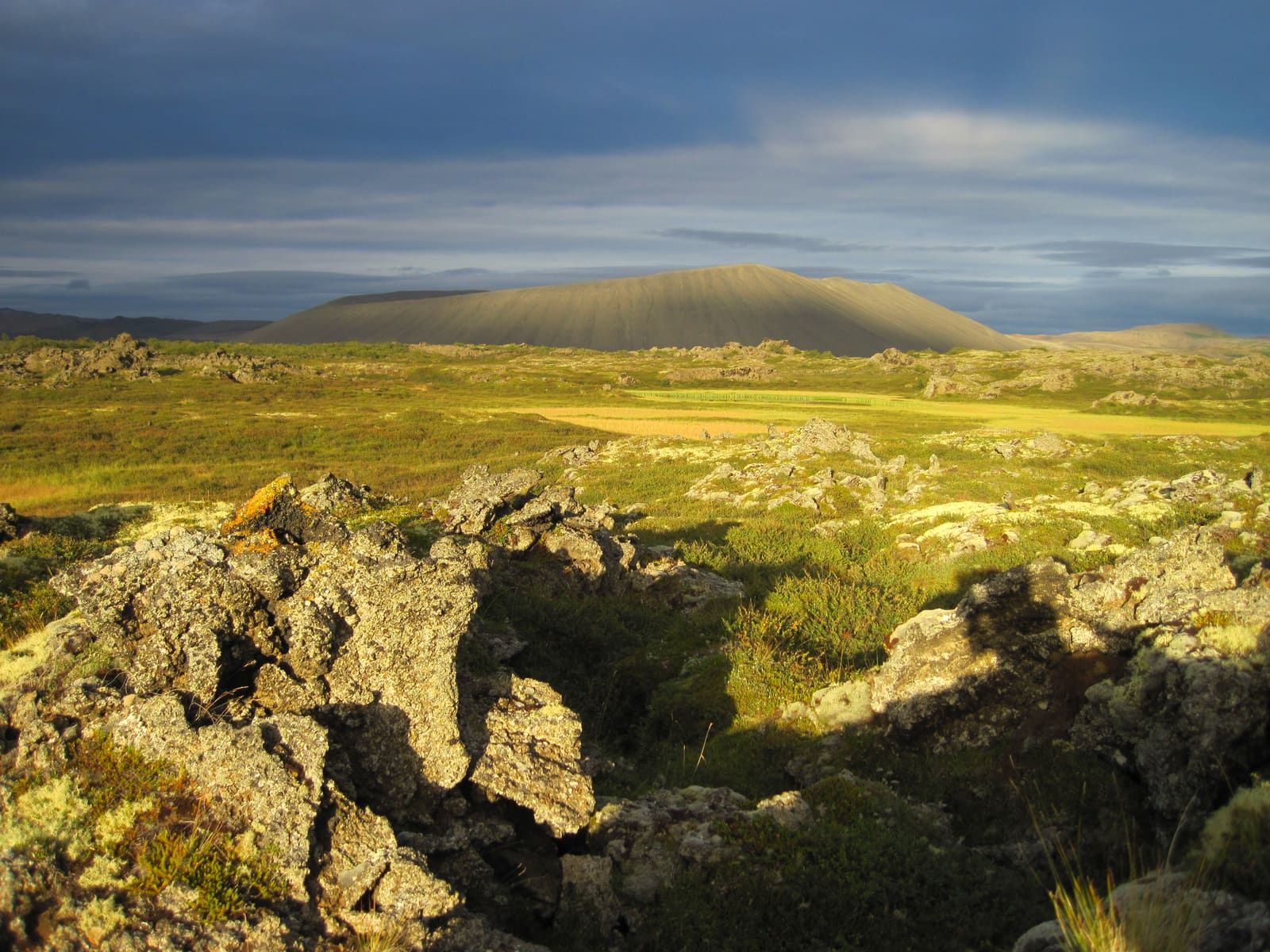 Hverfell crater rising behind lava rocks and summer vegetation in the Lake Mývatn area.