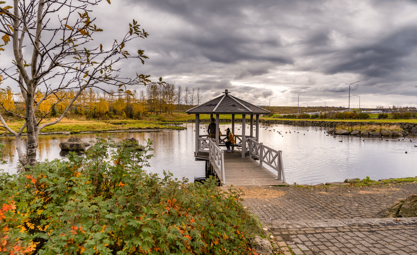 Sheltered pond and walking area in Kópavogsdalur valley in Kópavogur.