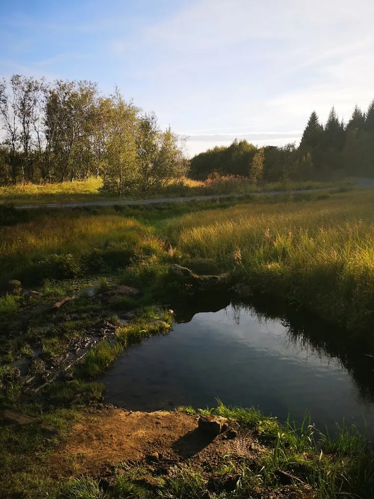 Close view of a dark Kúalaug natural pool with grass and low trees around the edge.