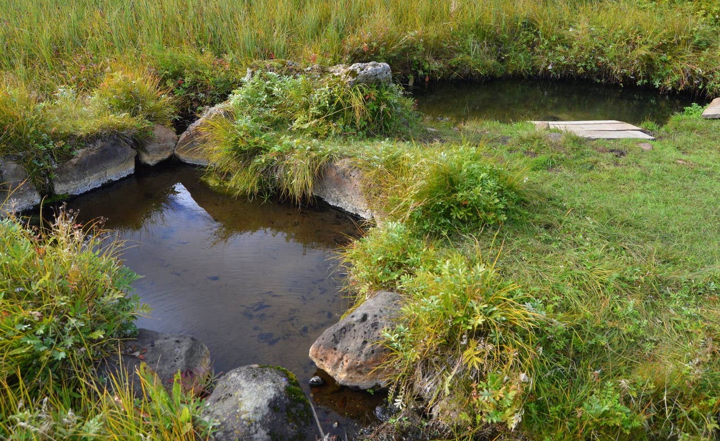 Small stone-edged Kúalaug hot-spring pools set into grass near Haukadalur.