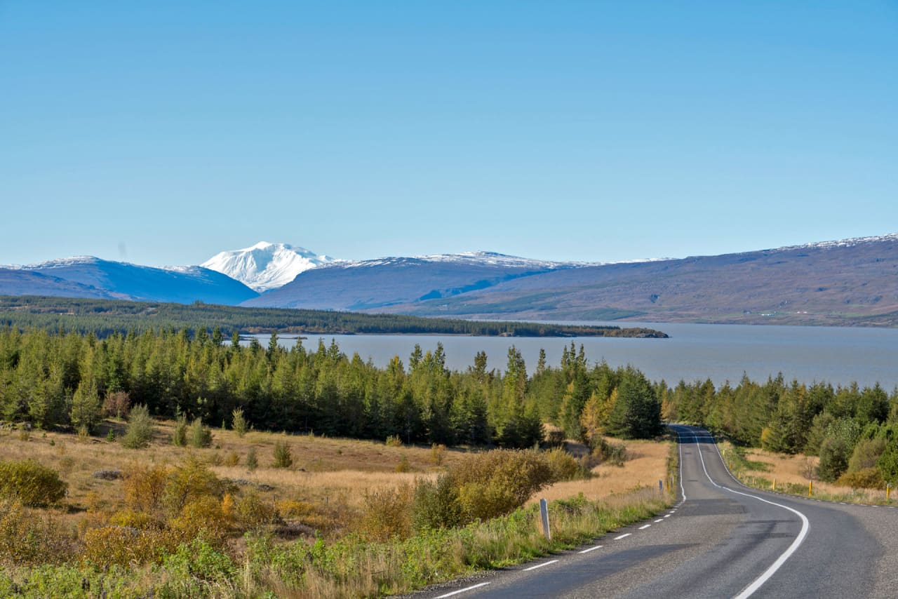 Road descending toward Lake Lagarfljót with Hallormsstaður forest and snowy mountains beyond.