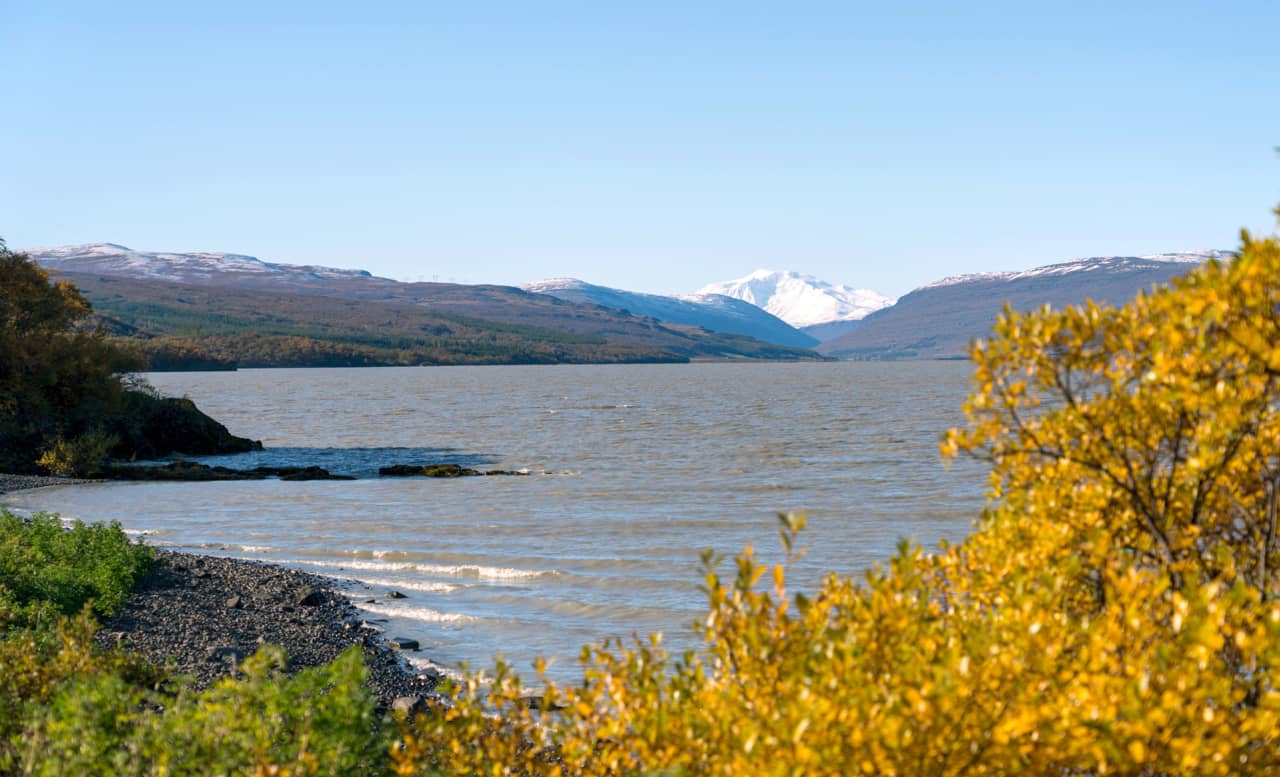 Pebbled shoreline of Lake Lagarfljót with yellow autumn trees and snowy mountains beyond.