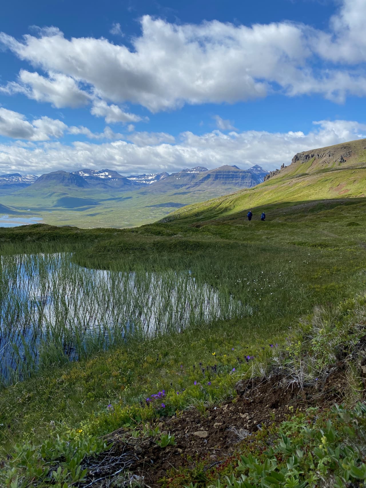 Hikers above green slopes and mountain ridges near Loðmundarfjörður.