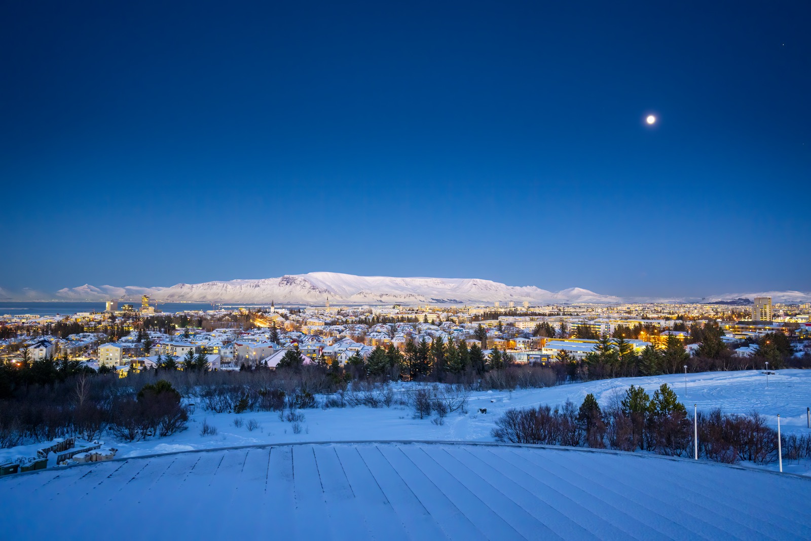 Snow-streaked Esjan across Reykjavík rooftops and Faxaflói from Perlan.