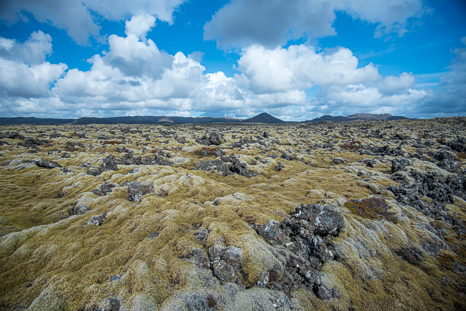 Moss-covered Ögmundarhraun lava with broken black rock and low Reykjanes hills in the distance.