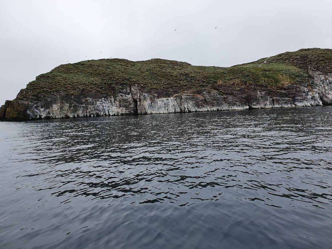 The grassy shoreline and low cliffs of Papey Island seen from the sea near Djúpivogur.