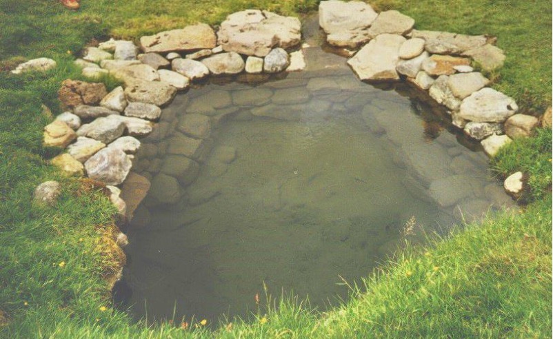 Stone-lined Bishop's Pool at Reykir in Hjaltadalur with grass around the small warm pool.