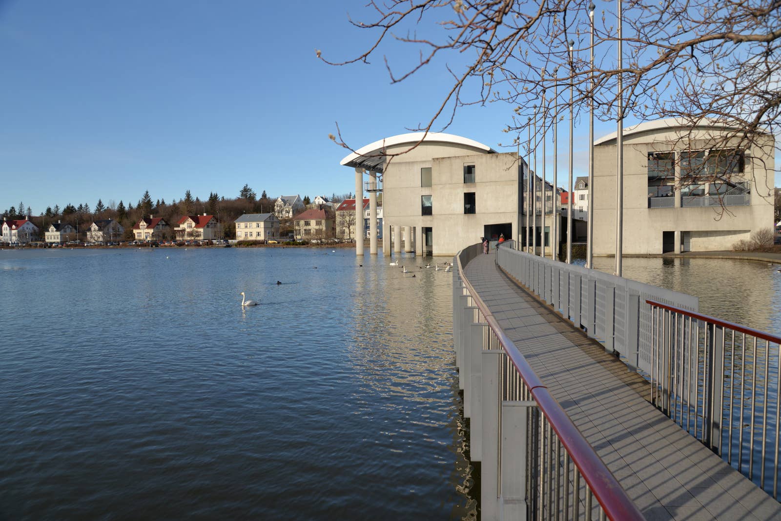 Pedestrian bridge over Tjörnin leading toward Reykjavík City Hall with birds on the water