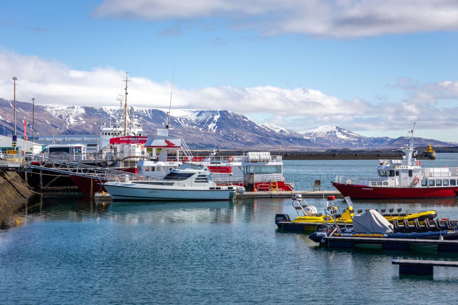 Whale-watching boats moored in Reykjavík Old Harbour with snowy mountains across Faxaflói bay