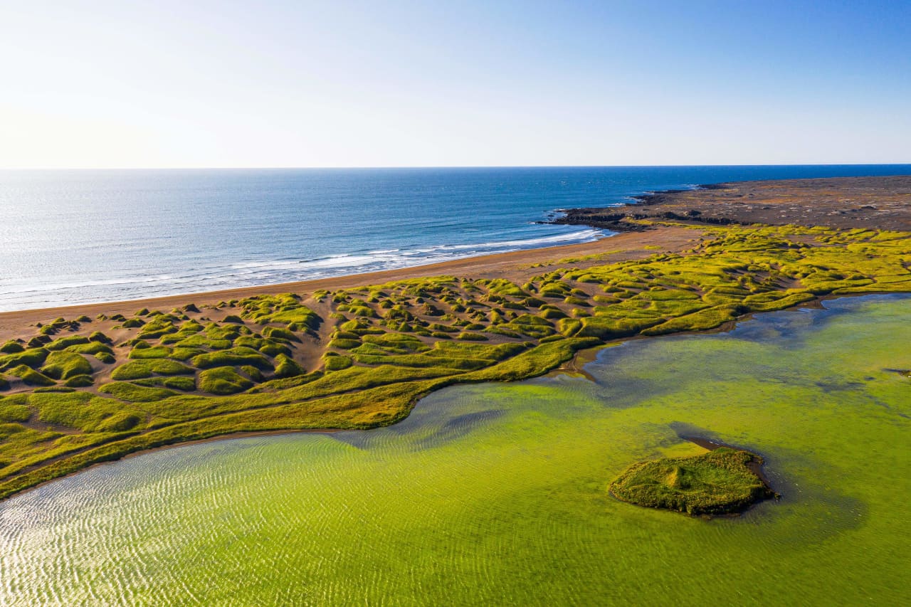 Wide view of Sandvík with black sand beach, grassy dunes, pond water, and Atlantic surf.