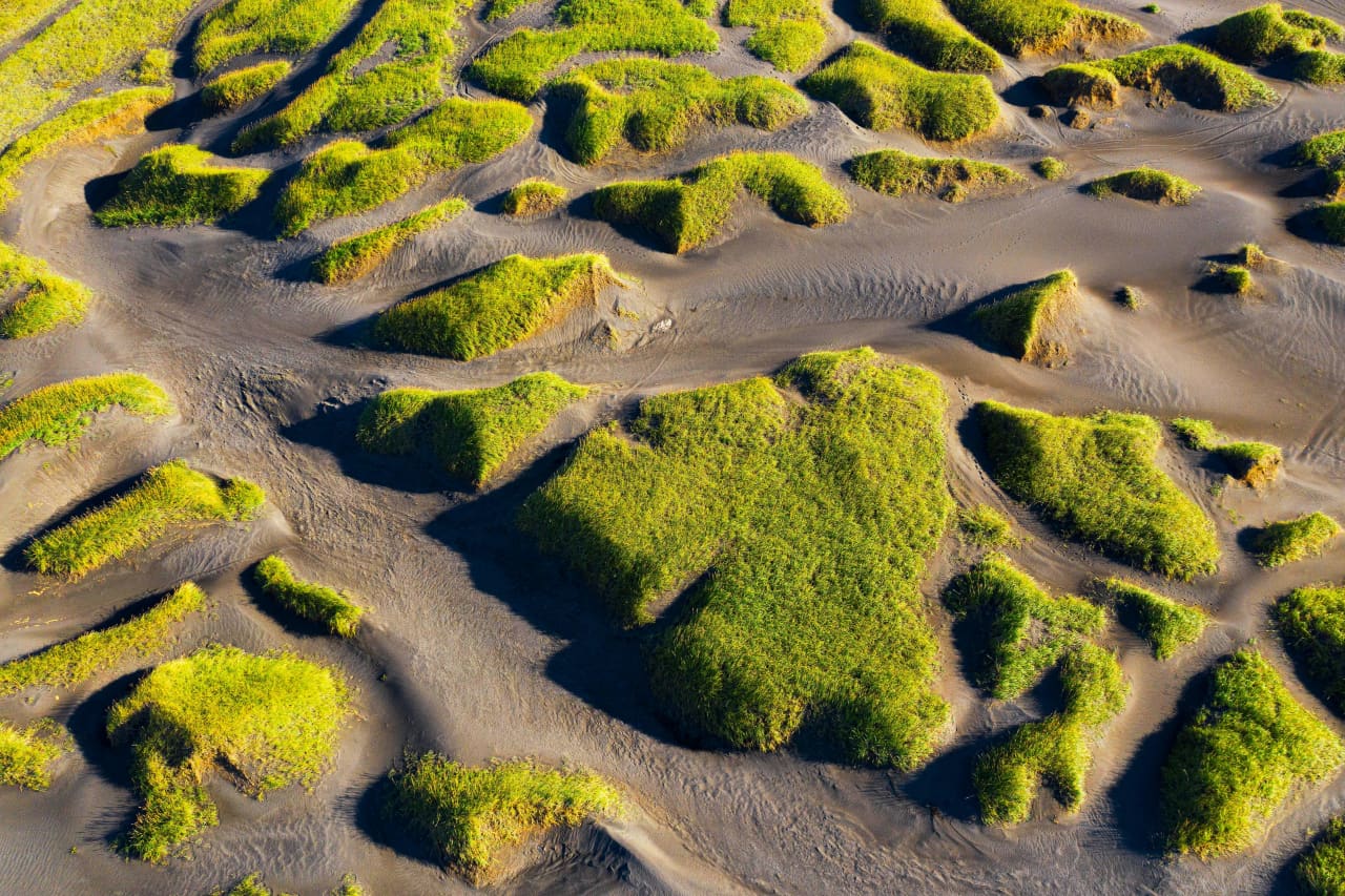 Low grassy dunes and black sand at Sandvík with the Reykjanes coast beyond.