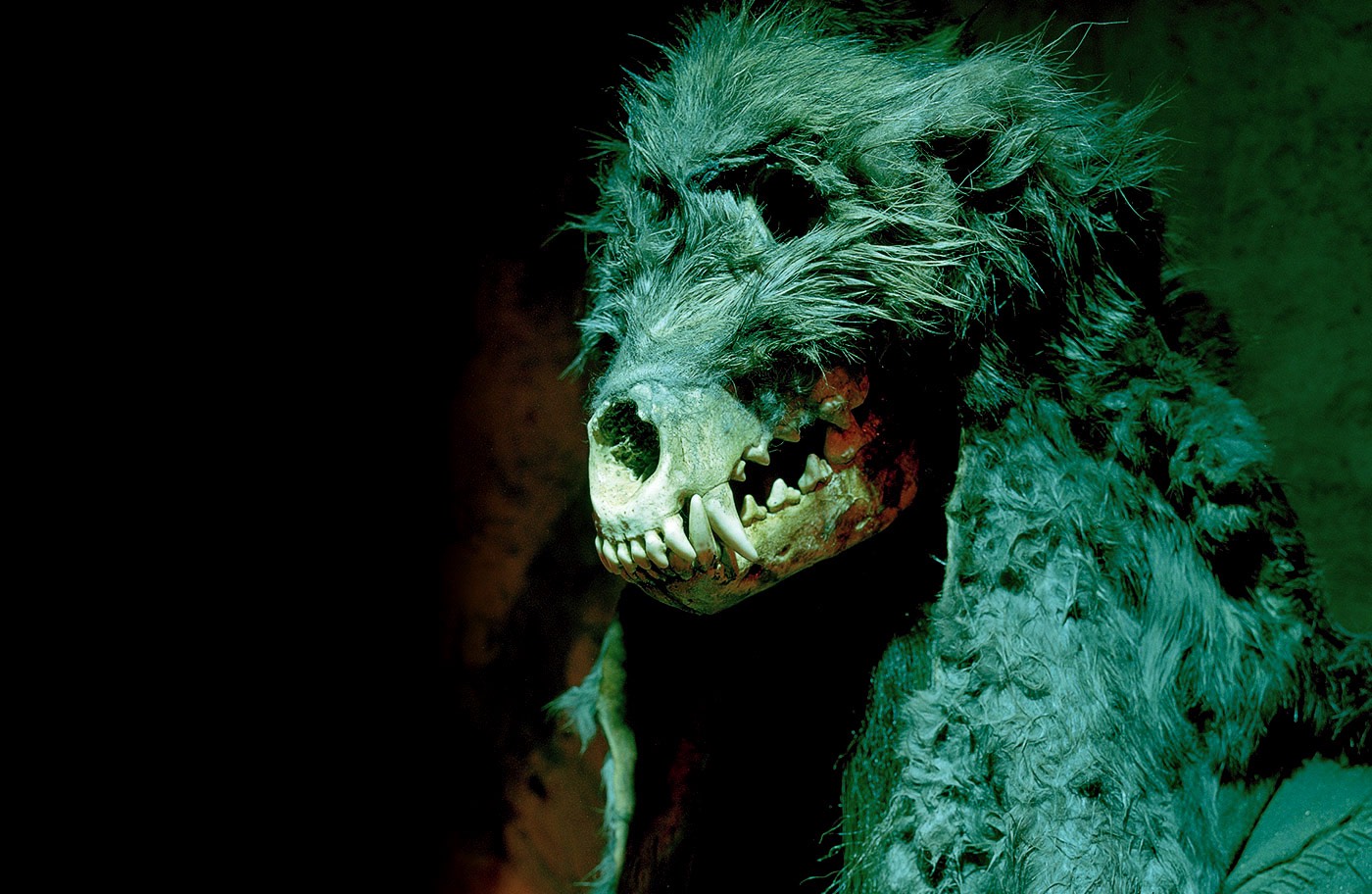 A dramatic wolf-head detail in the Egils Saga exhibition at the Settlement Center.