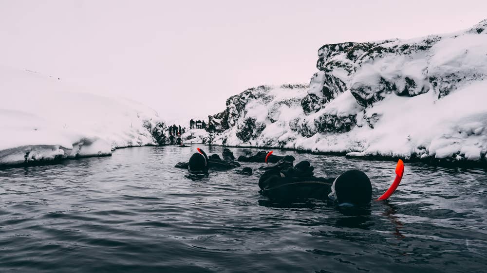 Snorkelers floating through Silfra fissure below snowy volcanic rock in winter.