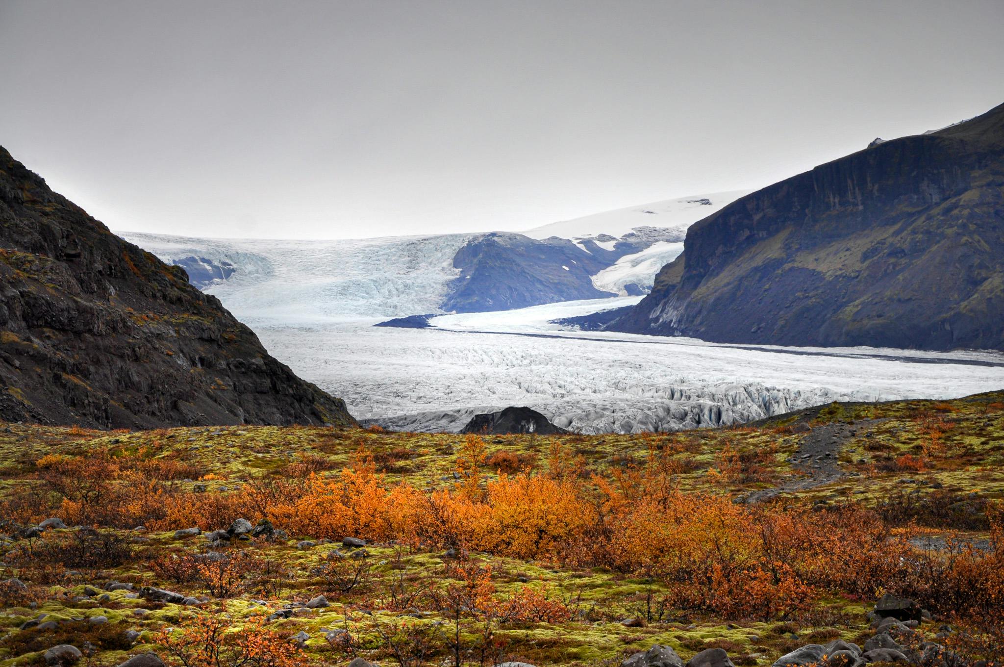 Glacier view from a Skaftafell trail with autumn vegetation and dark valley walls.