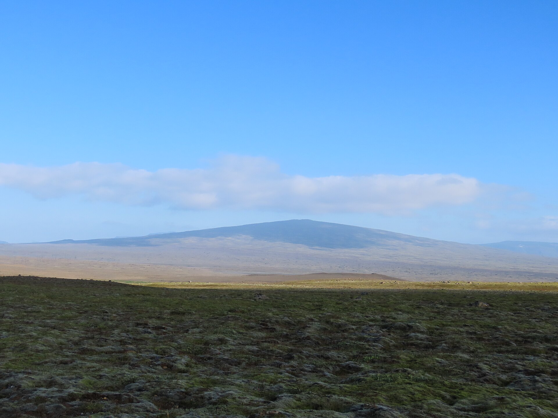 Skjaldbreiður seen as a low blue-grey shield volcano beyond a mossy lava field under a bright sky.