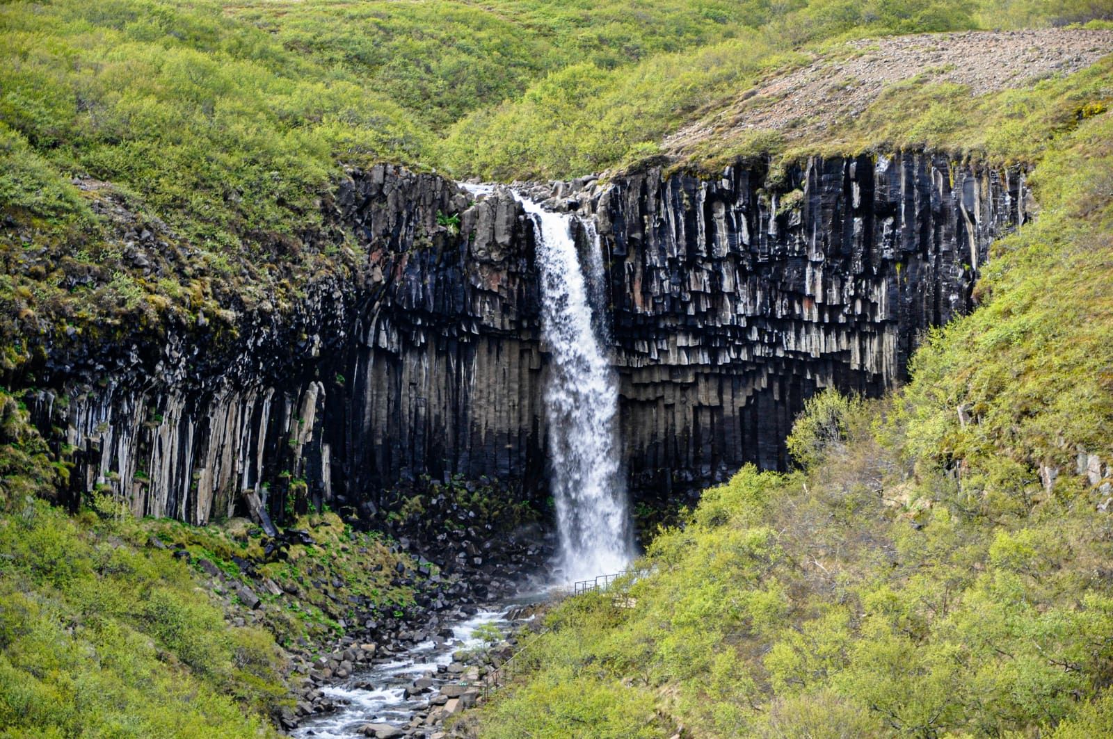 High view over Svartifoss, its basalt cliffs, and the stream below.