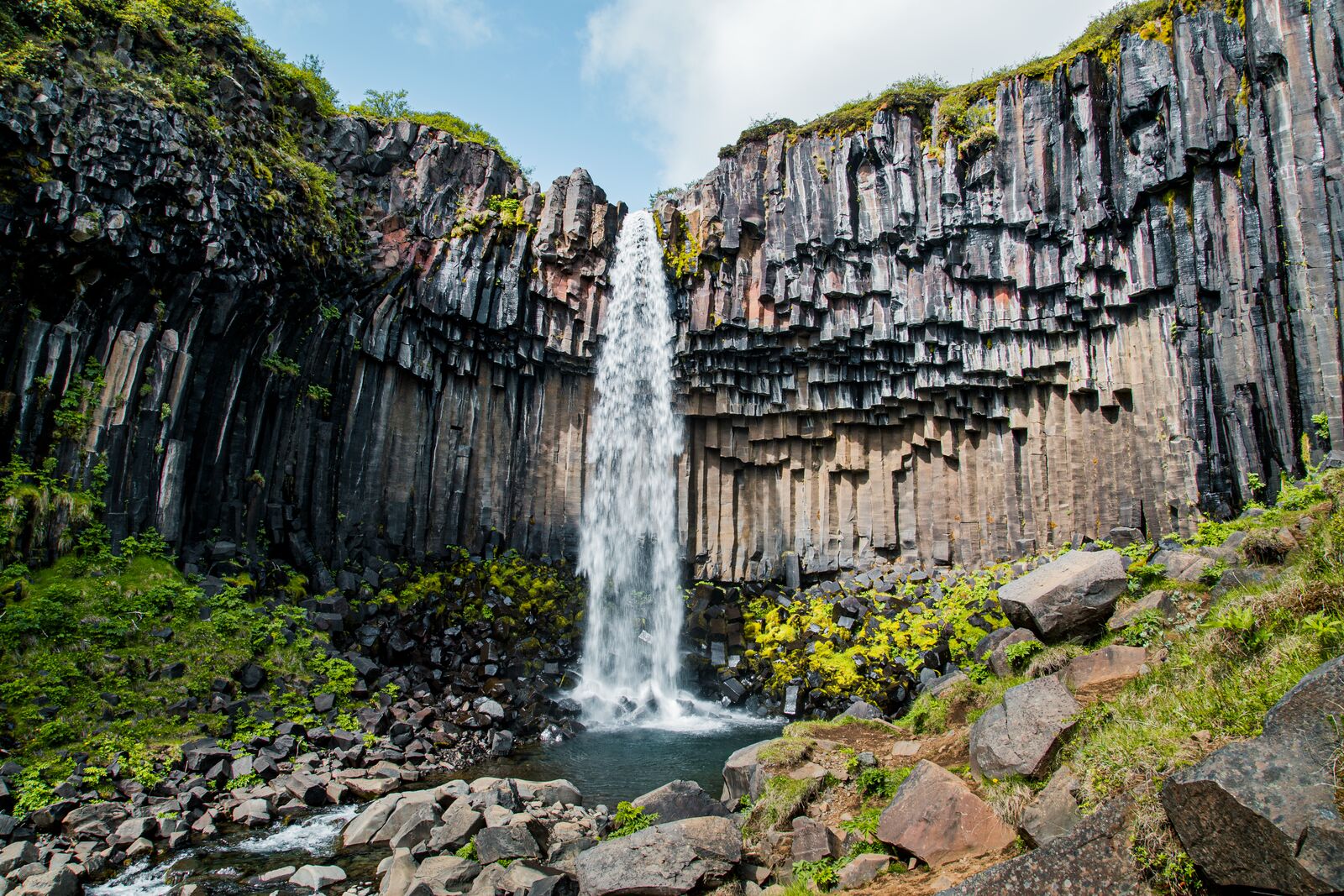 Svartifoss falling into a basalt-column amphitheatre at Skaftafell.