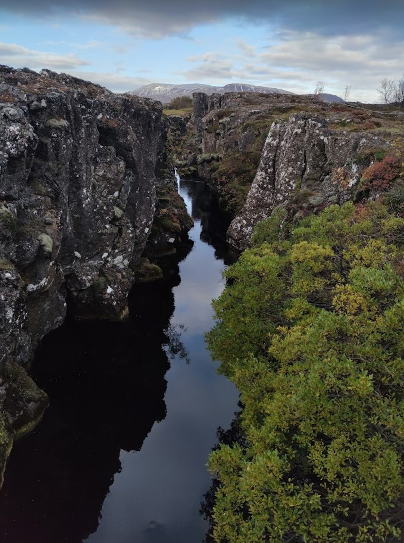 Dark still water running through Flosagjá fissure near Lake Þingvallavatn.