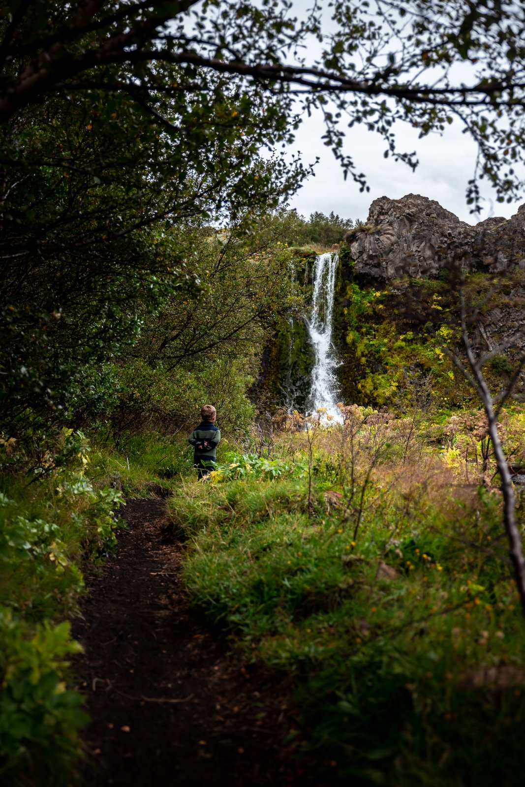 A narrow walking path through greenery toward a small waterfall in Gjáin in Þjórsárdalur.