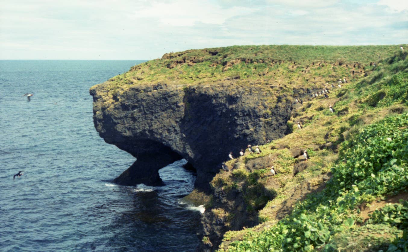 Bird cliffs and sea arches on the Tjörnes Peninsula in North Iceland.