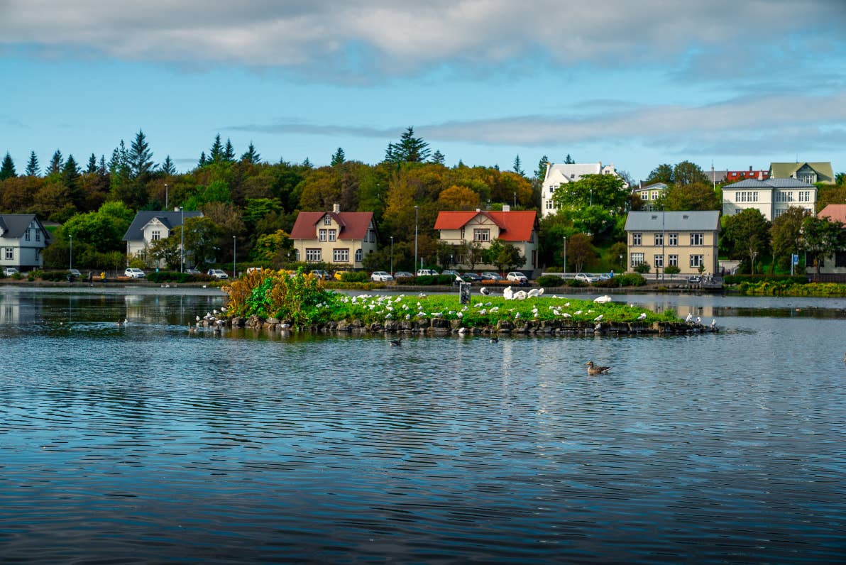 Bird island on Tjörnin pond with Reykjavík houses and water reflections behind it