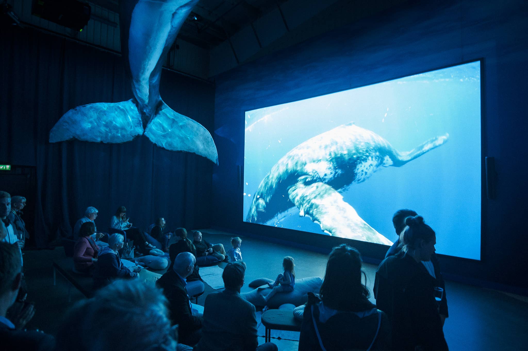 Visitors watching whale footage in the Fin Whale Theatre at Whales of Iceland