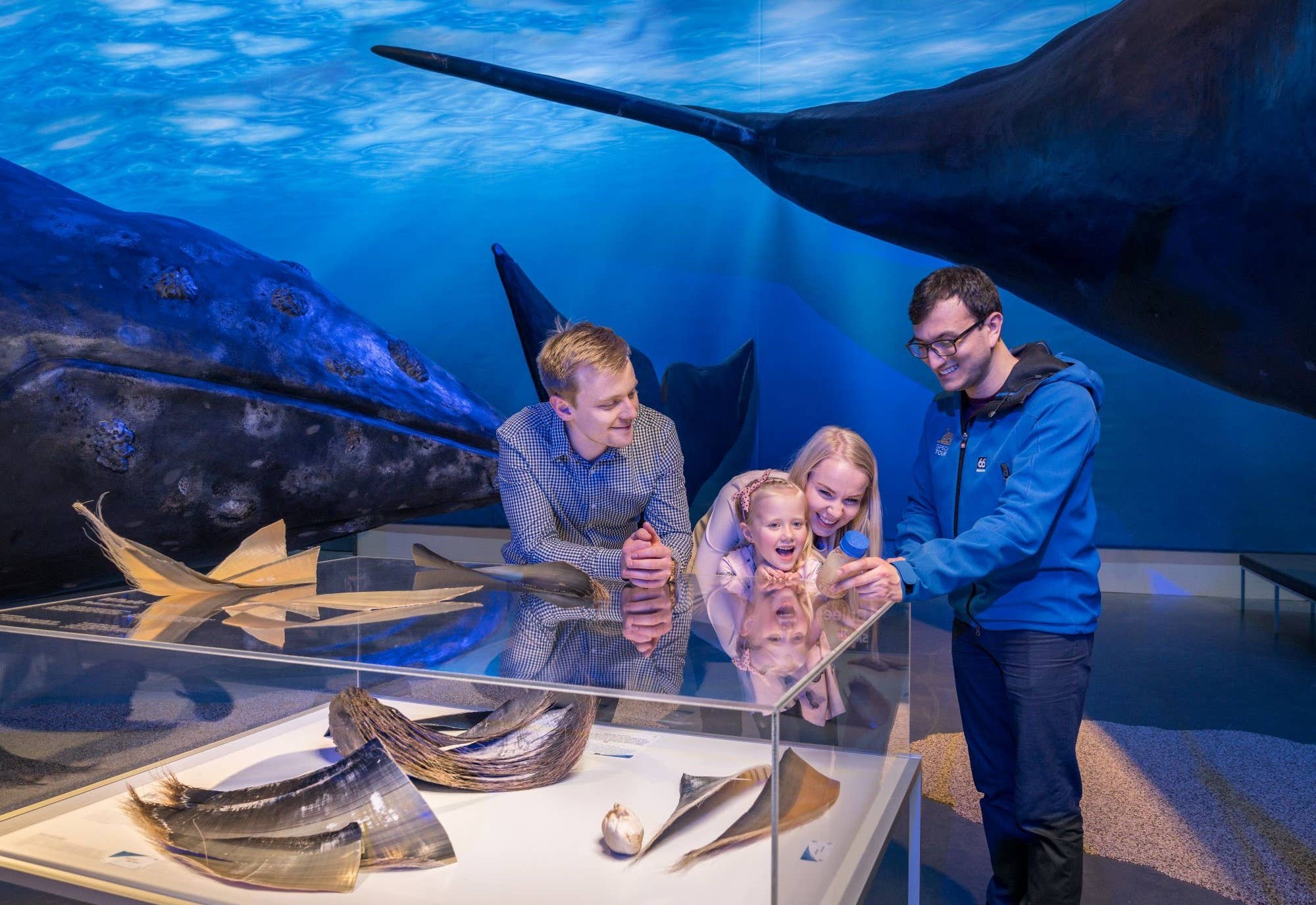 Guide showing whale materials to a family inside Whales of Iceland
