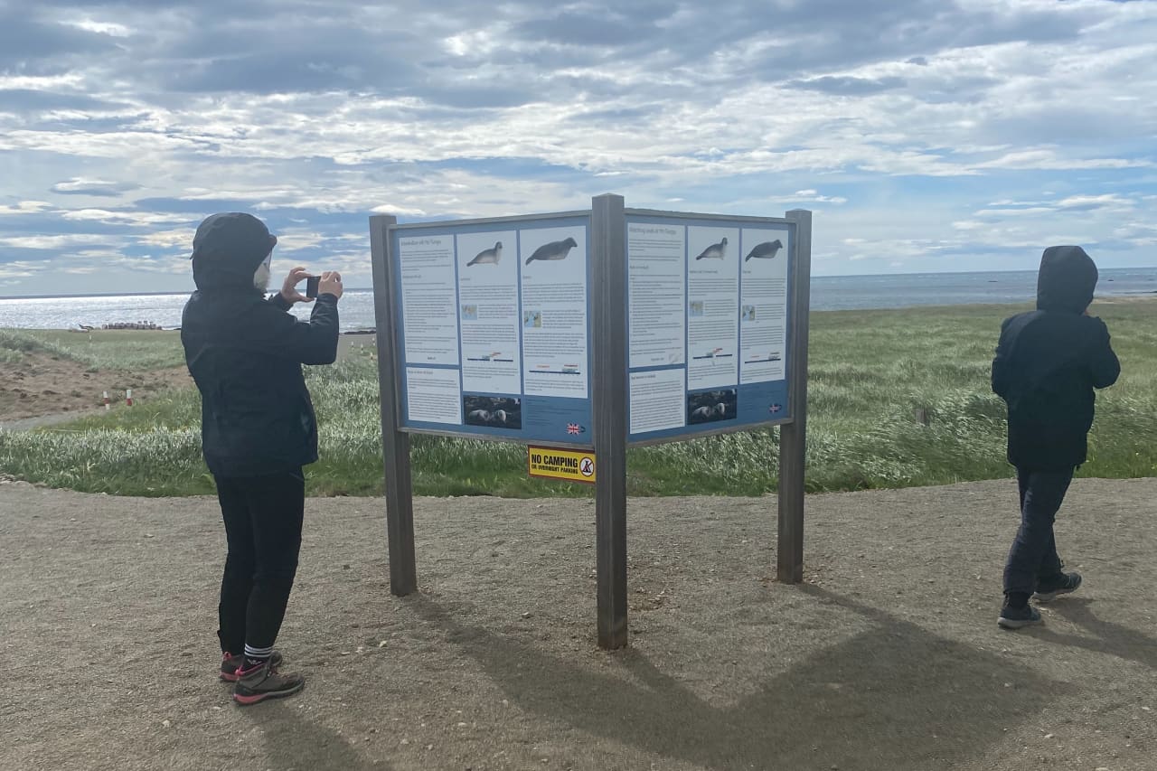 Visitors reading the seal information sign near the shore at Ytri Tunga Beach.