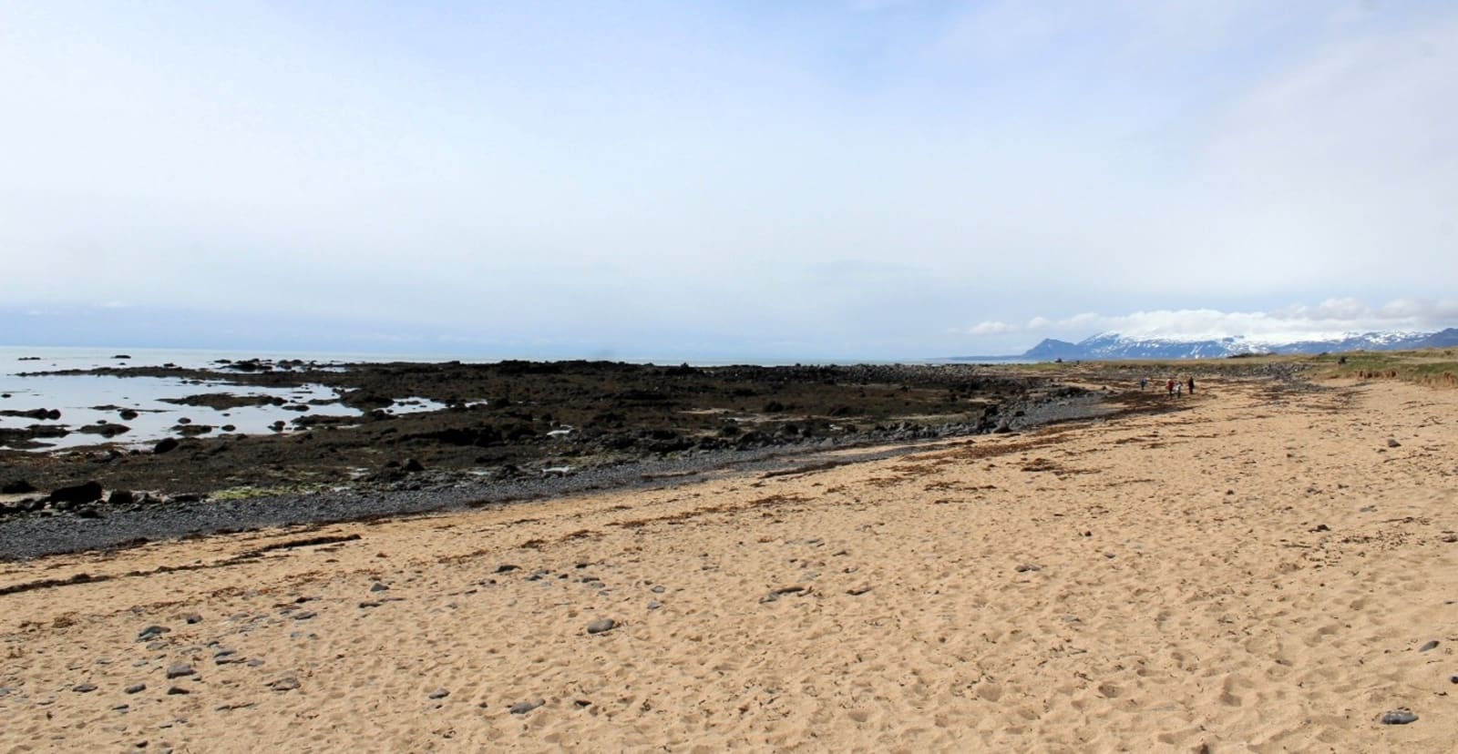 Golden sand, dark rocks, and distant mountains at Ytri Tunga Beach on Snæfellsnes.